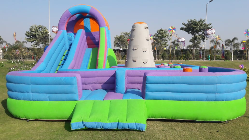   Dolphin Bouncy For Kids Birthday Party